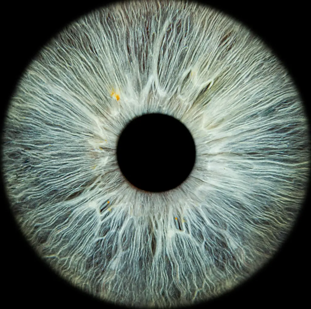 Clinique de sécheresse oculaire - Services - Centre Visuel Manicouagan Soulager vos yeux secs ou irrités grâce à noter clinique de sécheresse oculaire à Baie-Comeau.